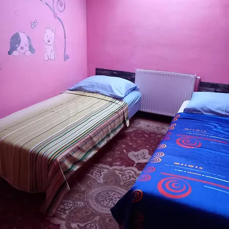 D * Tuzla